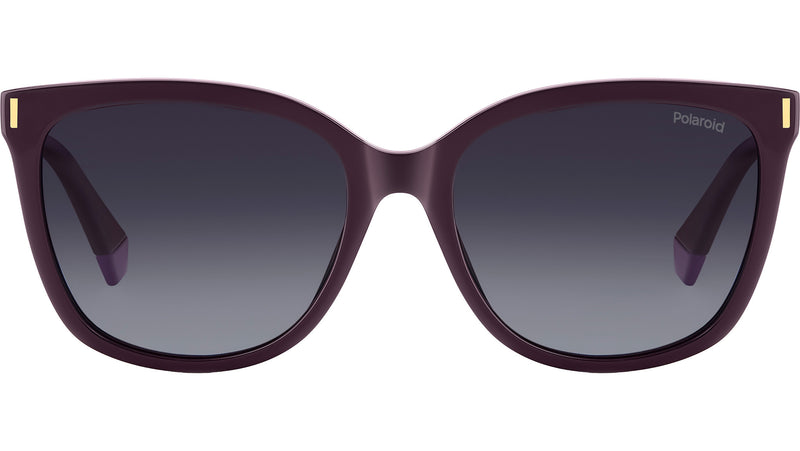 PLD 6229/CS B3V WJ Clip