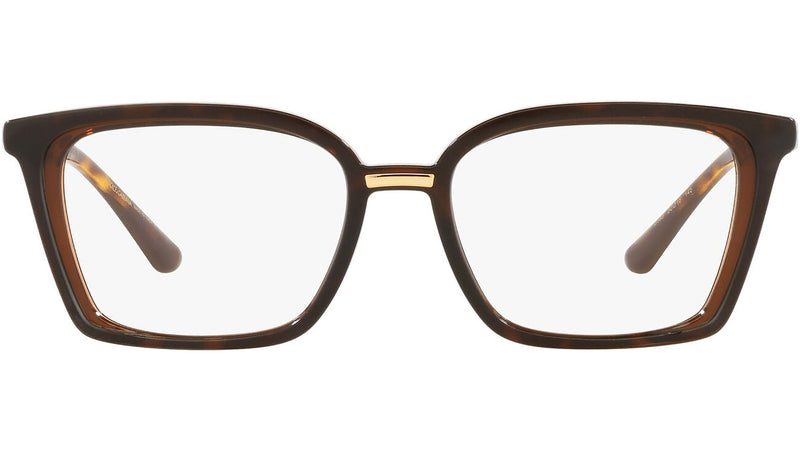 DG 5081 3185 tortoise