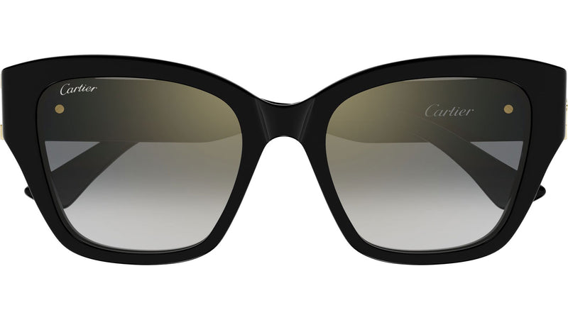 CT0666S 001
