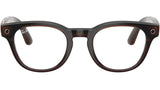 Meta Scriber Optics Gen2