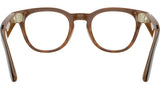 Meta Scriber Optics Gen2