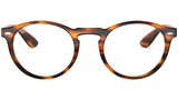 RB5283 striped havana