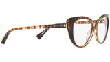 3084 004 tortoise