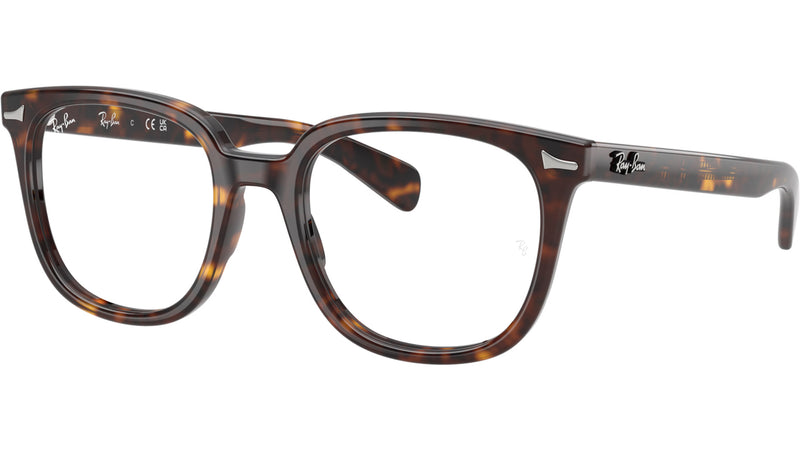 Brunel II Optics RB 5535 2012