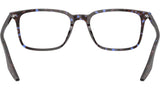 RB5421 Optics 8424