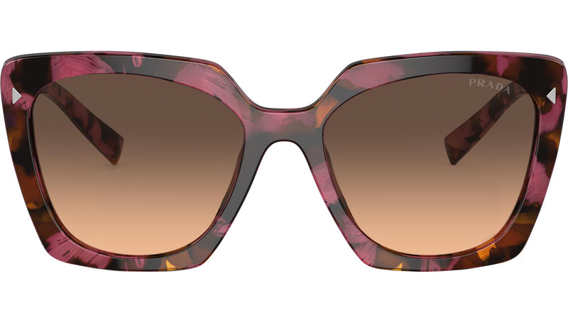 PR 23ZS 18N50C Begonia