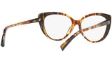 3084 004 tortoise