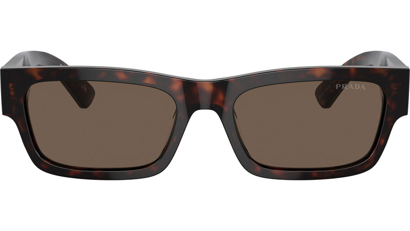 PR A03S 17N08T Tortoise