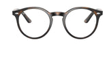 RY1594 3685 Tortoise