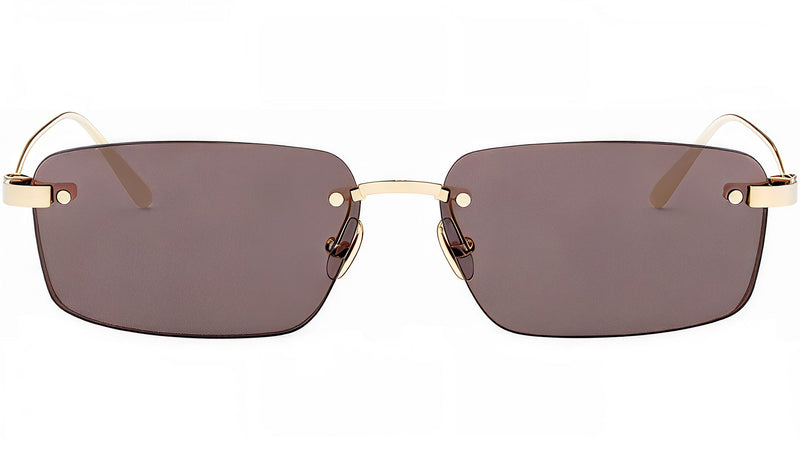 CDior S4U Light Gold Rectangular Sunglasses