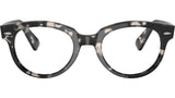 RB2199V Optics 8117