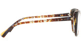 3084 004 tortoise