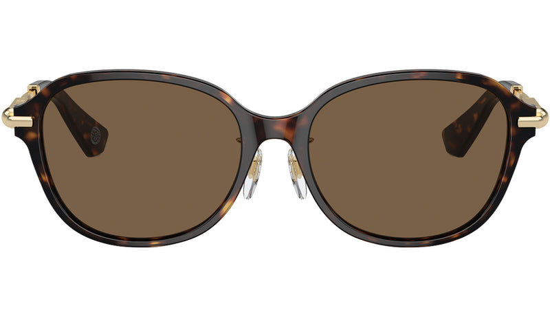 BE4429D 300273 Dark Havana