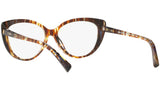 3084 004 tortoise