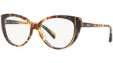 3084 004 tortoise