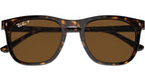 RB2210 902/57 Tortoise