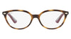 RY1612 3904 Tortoise - 48-15-130