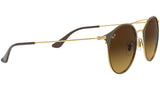 RB3546 gold top brown