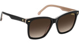 3113/S KDX HA