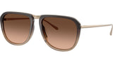 Model 2 OV1387ST 1832A5