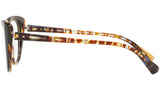 3084 004 tortoise