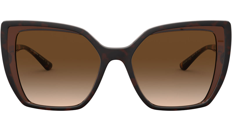 DG 6138 318513 tortoise