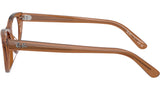 RB5449D Optics 8201