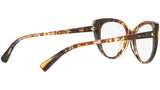 3084 004 tortoise