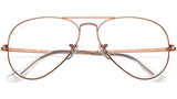 Aviator Optics RB6489 3094