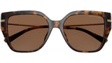 St. Barths MK2231U 30063G Dark Tortoise