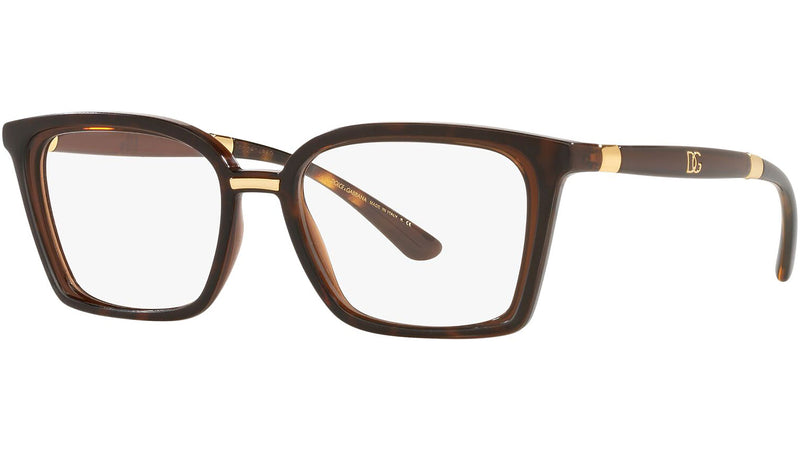 DG 5081 3185 tortoise