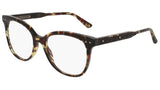 BV0121O shiny spotted tortoise