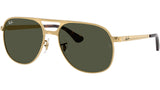 Bill Max RB3793 001/31