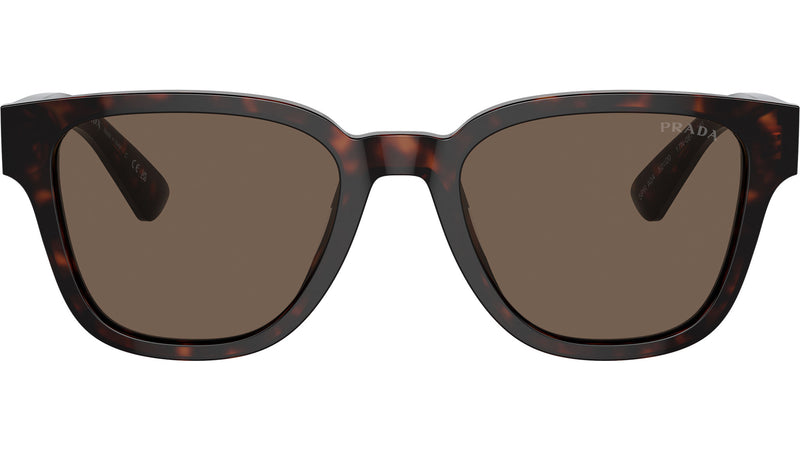 PR A04S 17N08T Tortoise