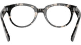 RB2199V Optics 8117