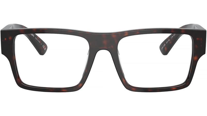 PR A08V 17N1O1 Tortoise