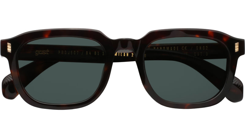 MAVEN Classic Havana