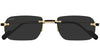 CT0498S 001 Gold Grey - 55-20-145