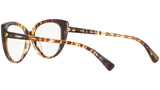 3084 004 tortoise