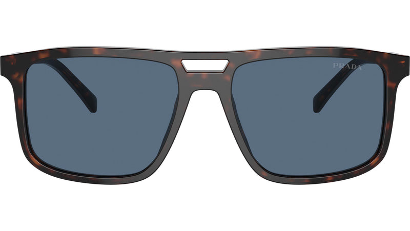 PR A22S 17N06A Tortoise