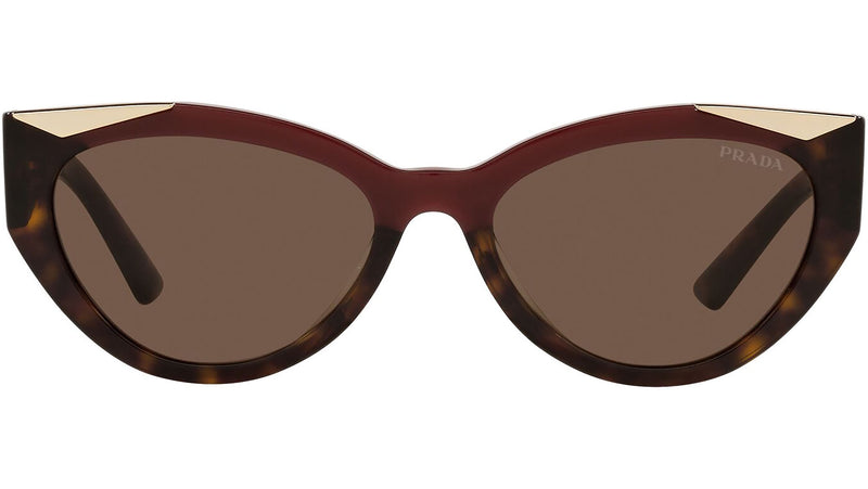 PR 03WS cherry and dark havana