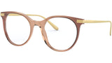 DG 3330 3269 brown