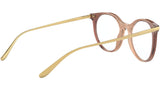 DG 3330 3269 brown