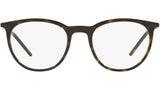 DG 5074 502 tortoise