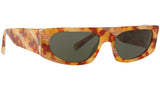 N°863 5050 003/71 tortoise