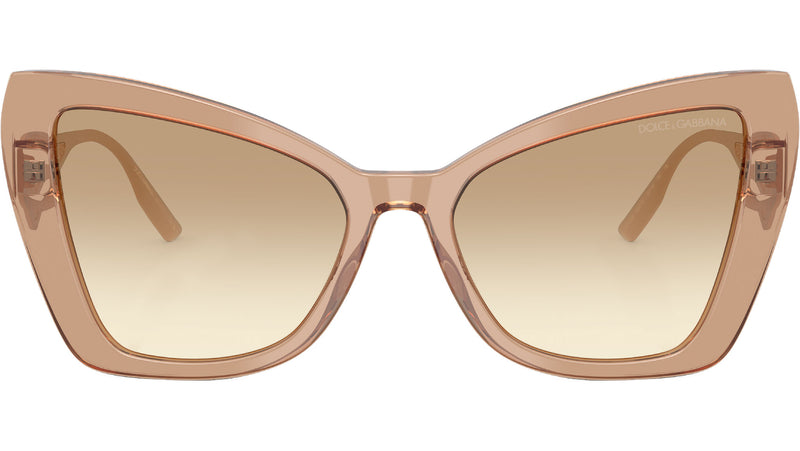 DG 4489 343213 Camel