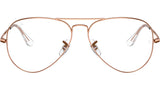 Aviator Optics RB6489 3094