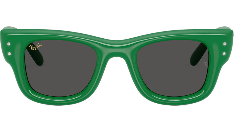 Wayfarer Puffer RB4940B 685987