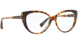 3084 004 tortoise