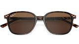 Leonard RB2193 tortoise classic polar